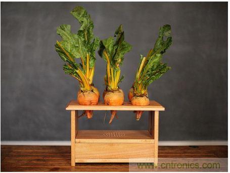 害怕圣誕節(jié)沒創(chuàng)意？看看發(fā)燒友們?cè)趺催^圣誕