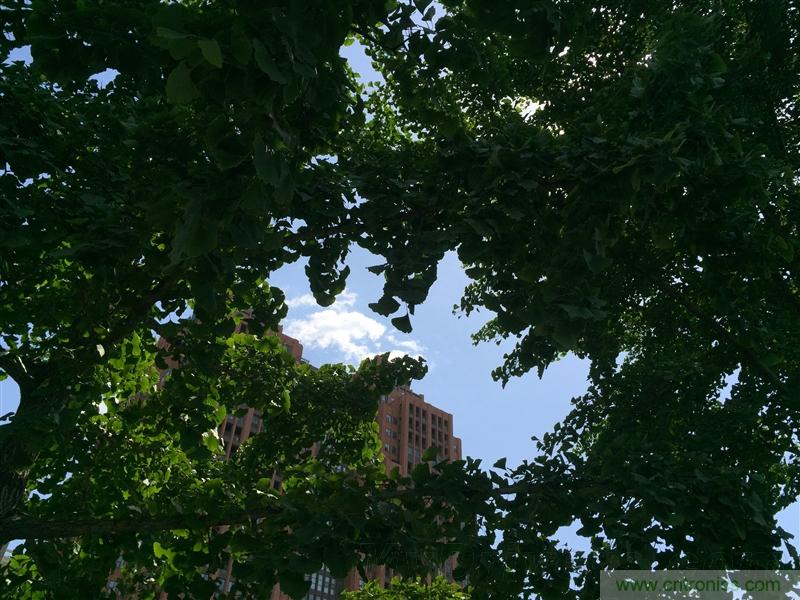 無邊框的 nubia Z9 ，一款既有驚喜，又有驚艷的智能手機