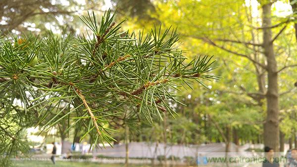 業(yè)界良心 LG V10 評(píng)測(cè):剛毅、冷峻，不失人性化