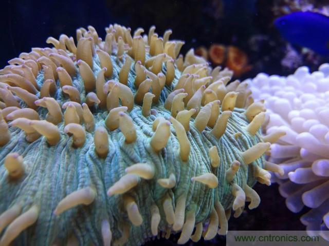 Hi-Fi革命！vivo X6 Plus深度評測：夠快才暢快