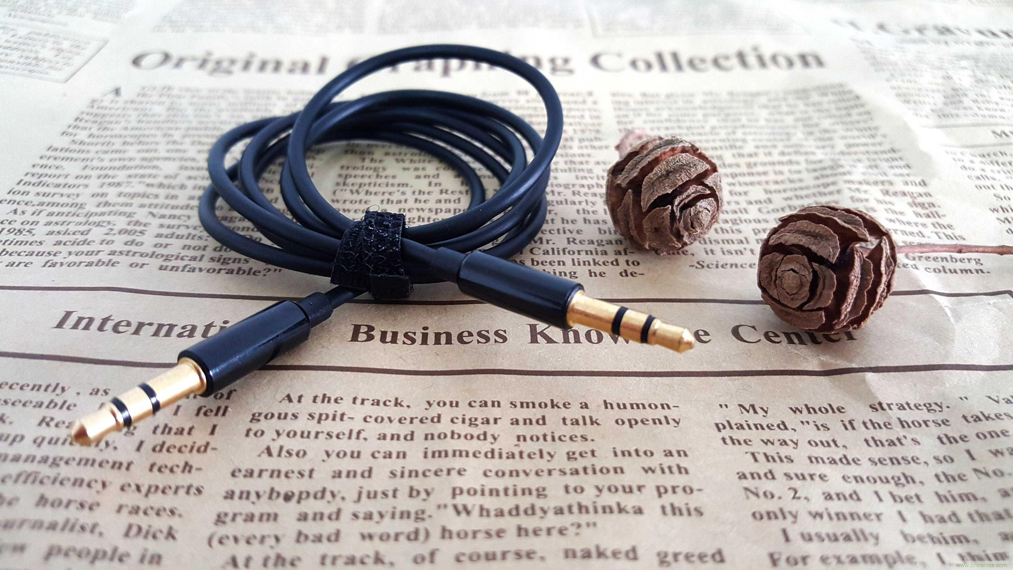 搞怪&ldquo;美人魚&rdquo;盡享靈克藍(lán)牙音箱的天籟之音！