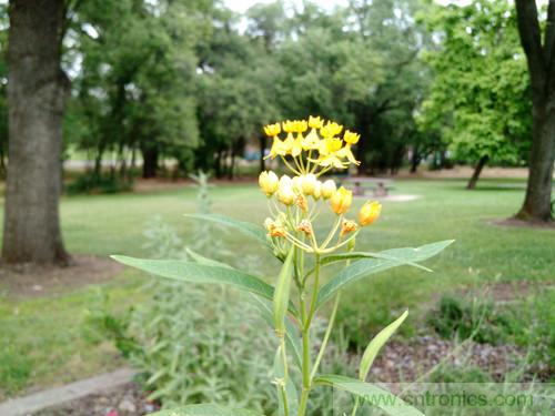 無數(shù)的拍攝，只為成就一個(gè)完美回憶