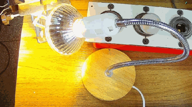 電燈泡內(nèi)通有交流電，為什么看不到燈泡在閃爍？