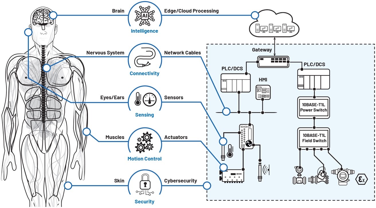 數(shù)字工廠成為現(xiàn)實：通過數(shù)字化轉型走向成功
