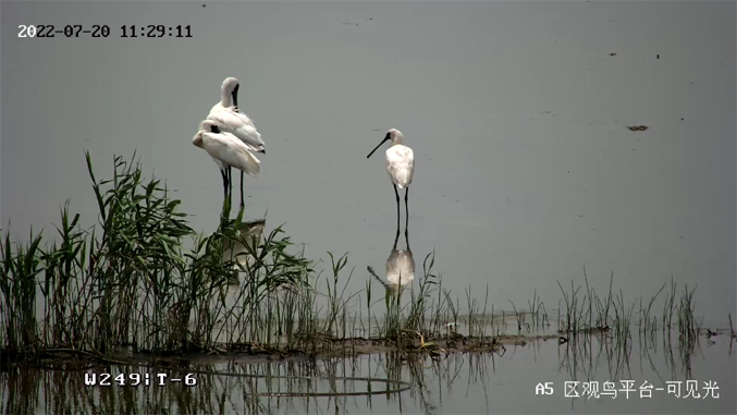 ?？低暟l(fā)布2022年ESG報告：科技為善，助力可持續(xù)的美好未來