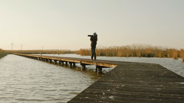 世界濕地日：?？低晹y手一個地球自然基金會，在上海守護這個重要“驛站”