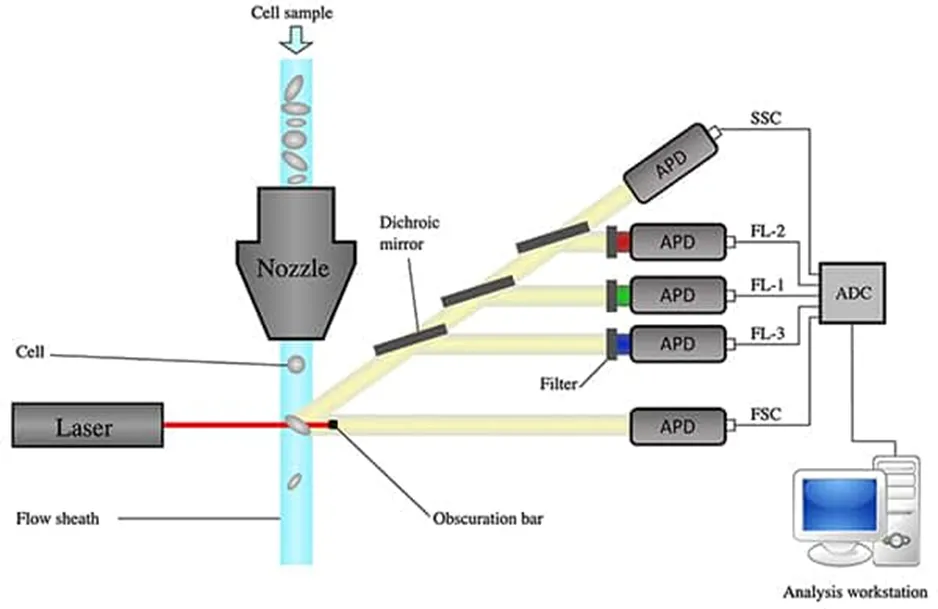 解決了！這個模塊解決了流式細胞儀設計的多個痛點！