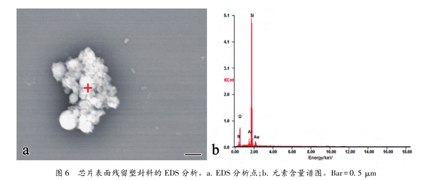 超聲波清洗暗藏"芯片密碼"：二氧化硅顆粒撞擊機理揭秘