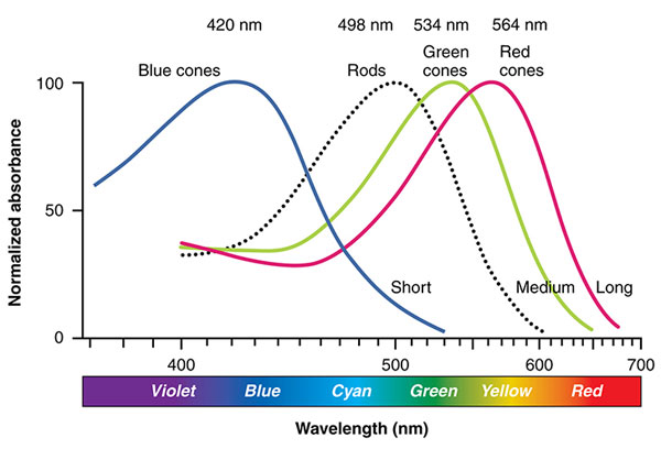 超人之眼：新款顏色和光譜傳感器如何看到人們看不見(jiàn)的東西